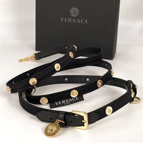 versace dog|versace dog harness.